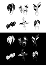 ROSTLINY_SABLONA_valenti